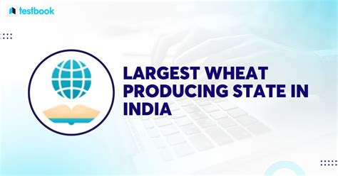 Largest Wheat Producing State In India Top List