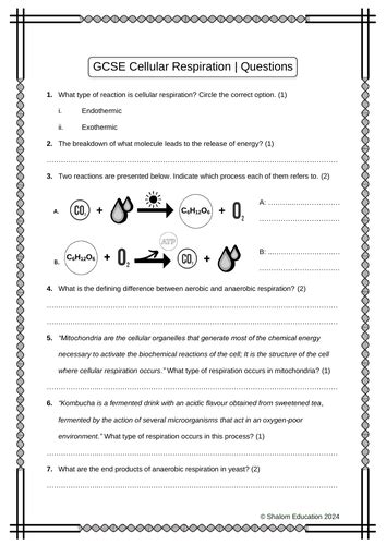 Gcse Biology Cellular Respiration Practice Questions Worksheet