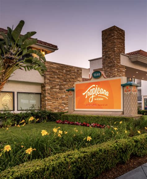 Tropicana Inn And Suites | Harbor Blvd Anaheim Hotel