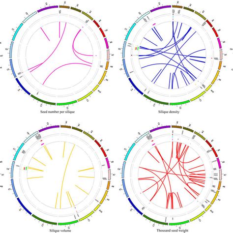 The Genome Wide Distribution Of Epistatic Interactions Identified For