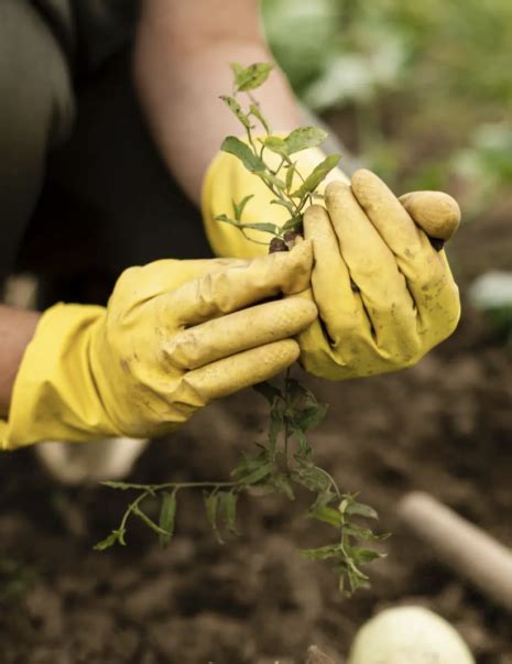 Techniques Avanc Es En Mara Chage Biologique Apaba Les Bio De L Aveyron