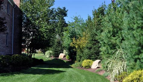 Ornamental Planting New Jersey Clc Landscape Design Clc Landscape