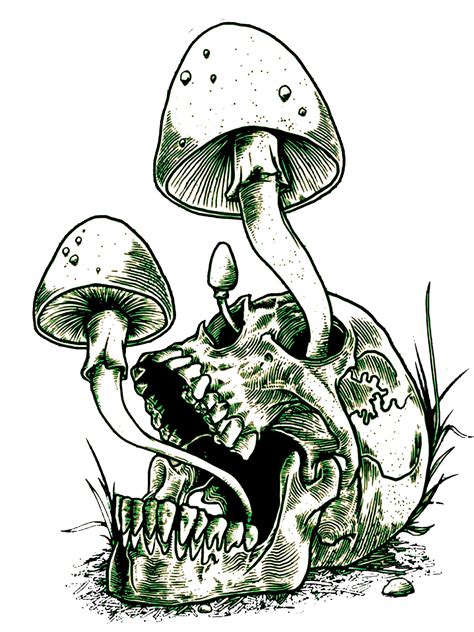 Linzey Kendall Mullins