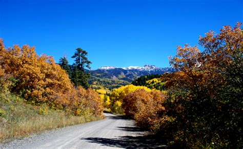 Fall Colors Map for Colorado - Pagosa Springs Colorado