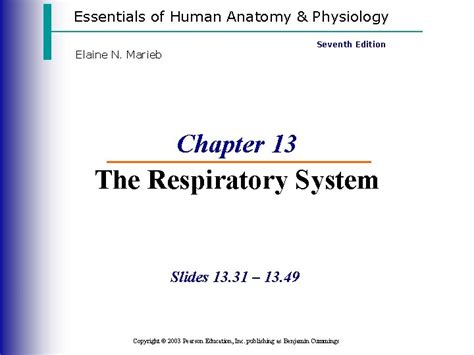 Essentials Of Human Anatomy Physiology Seventh Edition Elaine