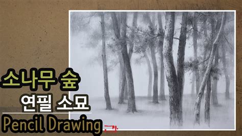 소나무 숲 그리기 연필 소묘 How to draw pinery in Korea pencil drawing 연필 드로잉