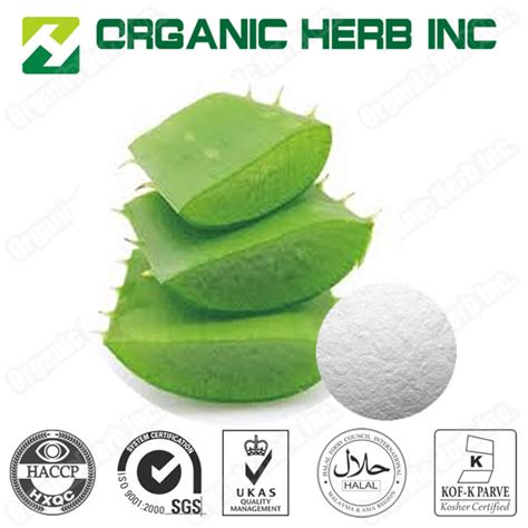 ISO9001 Aloe Vera Extract 200 1 Aloe Vera Gel Freeze Dried Powder China