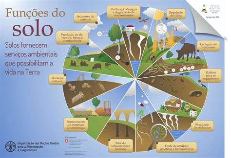 Para Que Serve O Solo - Importância do Solo