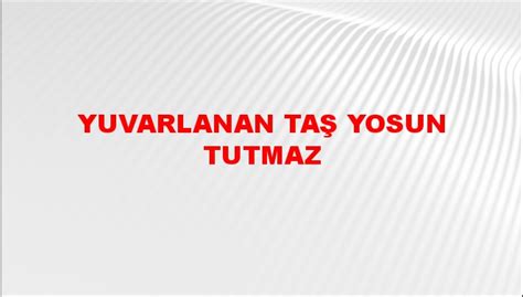 Yuvarlanan Ta Yosun Tutmaz Atas Z N N Anlam Ne Demek Ntv Haber