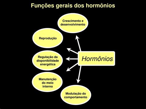 Para Que Serve Hormônio - Para Que Serve Os Hormônios - FDPLEARN