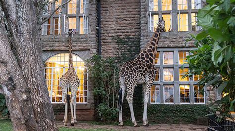 Giraffe Manor - Kenya Hotels - Nairobi, Kenya - Forbes Travel Guide