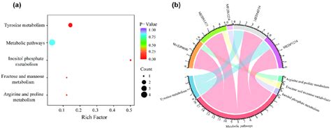 Kegg Pathway Enrichment Of Metabolites In The Metabolite Signature