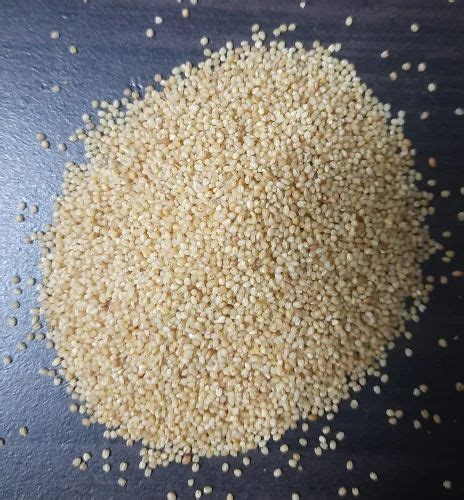 Indian Organic Foxtail Millet At Rs 108 Kg In Theni ID 2852909874991