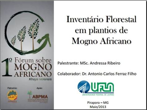 Invent Rio Florestal Em Plantios De Mogno Africano Msc Andressa