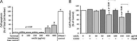 Effects Of Oxldl And E3330 On Rpe Apoptosis A And Proliferation B