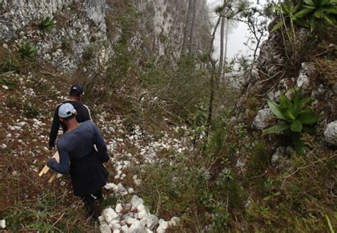 Behind The Scenes First Ever Black Capped Petrel Satellite Tracking