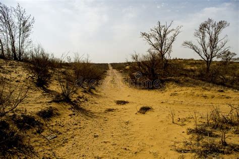 Desert Landscapes in Arid Regions Stock Photo - Image of desolate ...