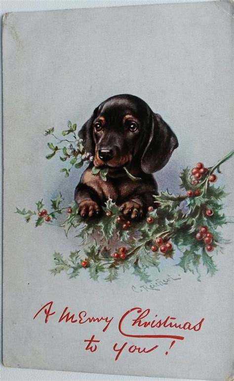 Открытки с таксами - 58 фото