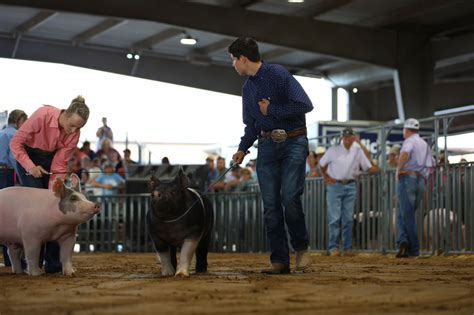 Nicole House Photography Grimes County Fair Swine Show