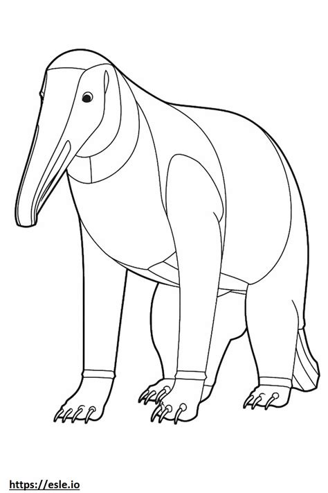 Anteater Full Body Coloring Page