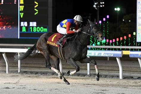 兵庫女王盃2024特集 レース結果・払戻｜地方競馬予想のウマニティ