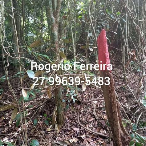 Ch Cara Retiro Congo Parte Alta Terrenos S Tios E Fazendas Retiro