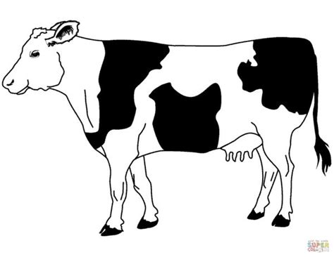 desenho de vaca  modelos fofos  imprimir gratis