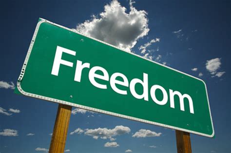 philosophical disquisitions freedom  frustration  interference