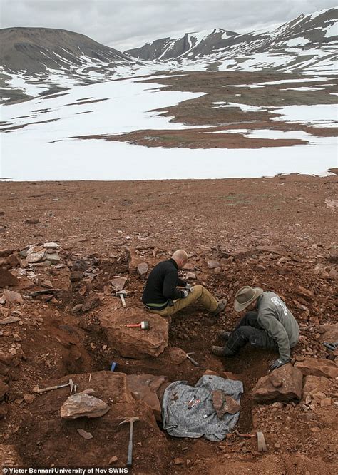 Conozca Cold Bone Una Nueva Especie De Dinosaurio Encontrada En