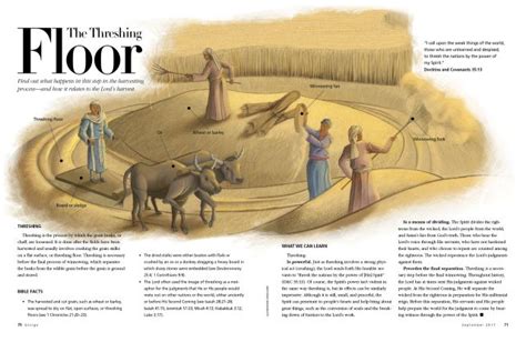 The Threshing Floor Bible Illustrations Threshing Floor Bible Context