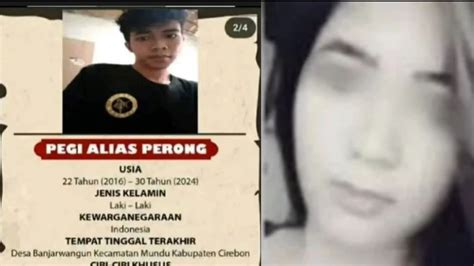 Kemana Saja Pegi Alias Perong Dpo Pembunuh Vina Cirebon Selama Ini