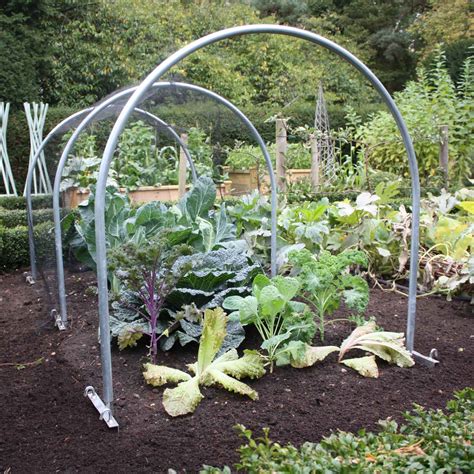 Extra Large Garden Cloche | Fasci Garden