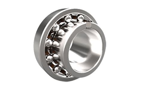 Self-aligning Ball Bearing With E-tended Inner Ring | Ball & Roller ...