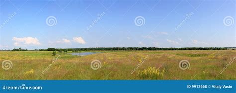 живая природа стоковое фото. изображение насчитывающей лужайка - 9912668