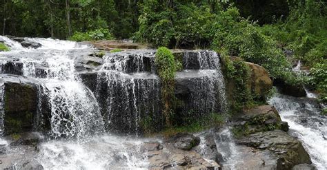 Waterfall on Cliff in Forest · Free Stock Photo