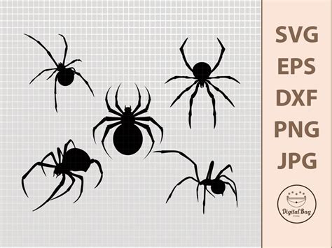 Spider Svg Halloween Svg Spooky Svg Svg Files For Cricut Spider