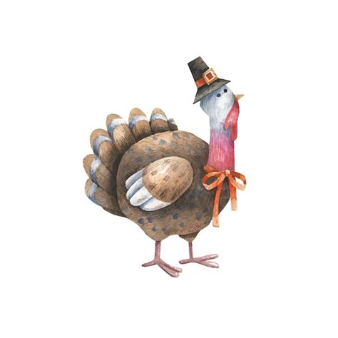 Premium Vector Cute Turkey In A Pilgrim Hat Watercolor Illustration