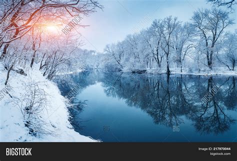 Winter Forest On River Image & Photo (Free Trial) | Bigstock