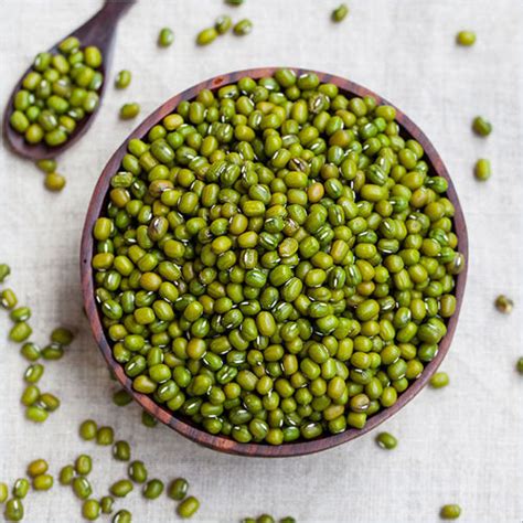 Green Whole Moong Dal At Best Price In Mumbai Edlyene International