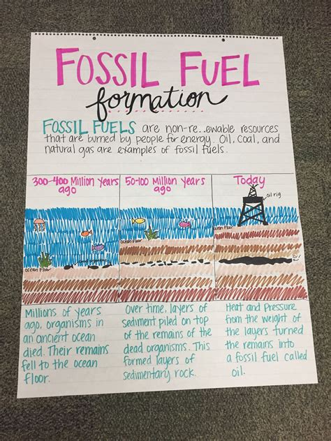 Formation Of Fossil Fuels Worksheet