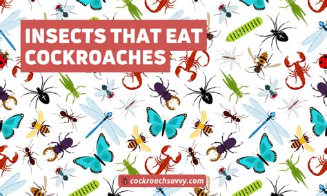 What Eats Cockroaches? | 35 Predators You Never Knew