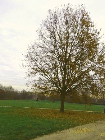 Parco Urbano G Bassani Ferrara Aggiornato Tutto Quello Che C