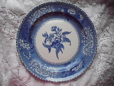 Spode Camilla Copeland England Dinner Plate Scalloped Blue And