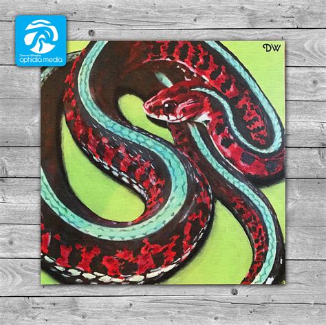 Red Sided Garter Snake Painting 12inx 12in Acrylic On Canvas Board Sold