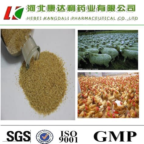 Choline Chloride And Betaine For Poultry Feed Swine Feed Ruminant