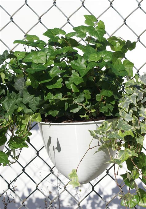 Plant Seads Turns Chain Link Fence Into Vertical Gardens