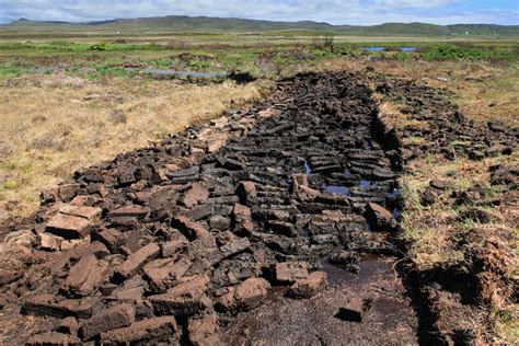 Peat and Sustainability — Dramface