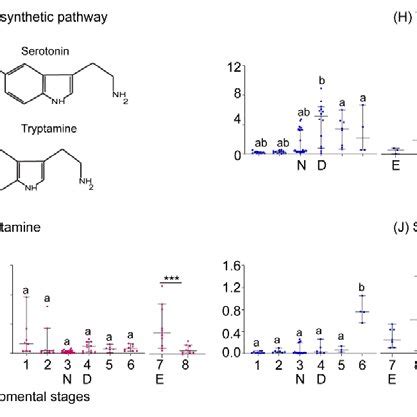 Quantification Of Biogenic Amines And Their Precursors Across The