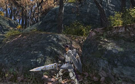 Einha Xia Blog Entry `Curtana!` | FINAL FANTASY XIV, The Lodestone