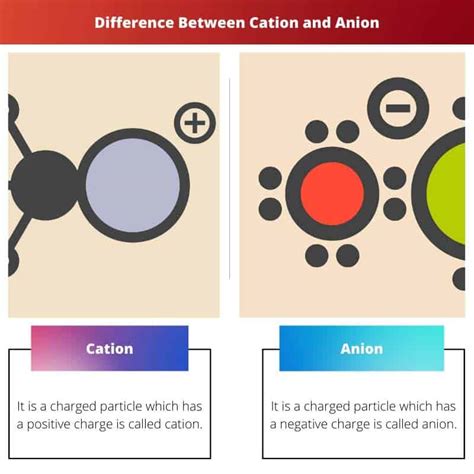 Cation Vs Anion Diff Rence Et Comparaison